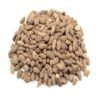 Iboga Seeds