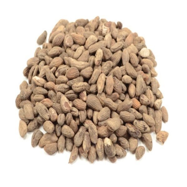 Iboga Seeds